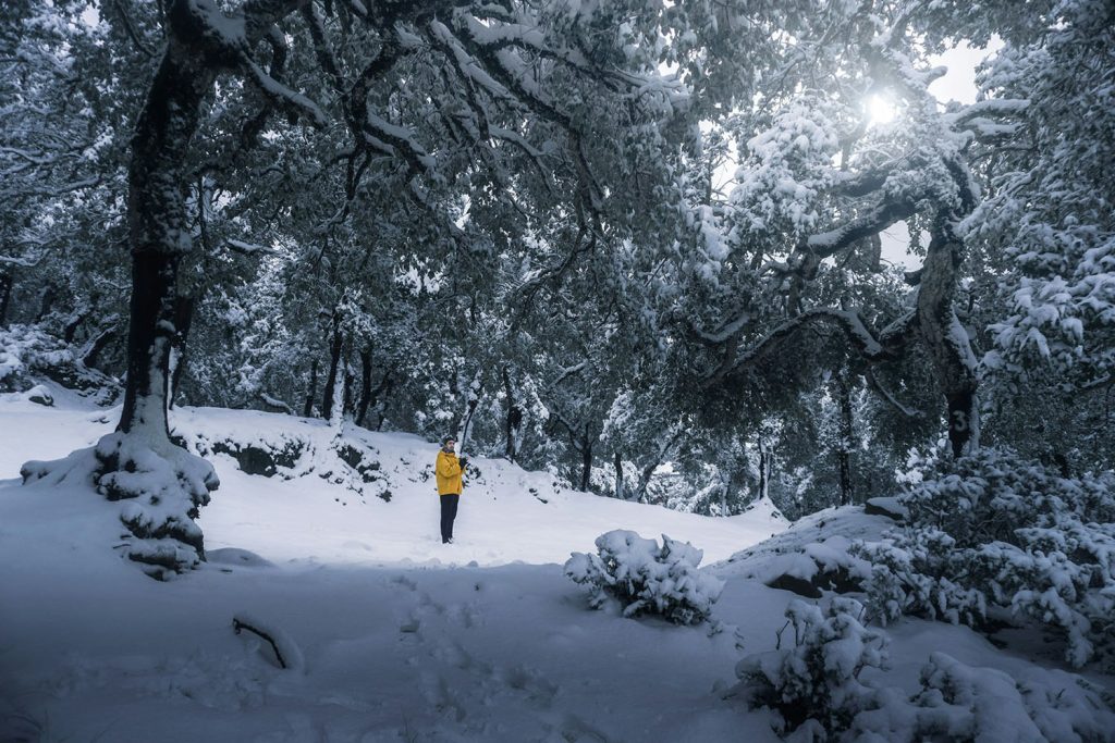 ساخت تریلر سینمایی