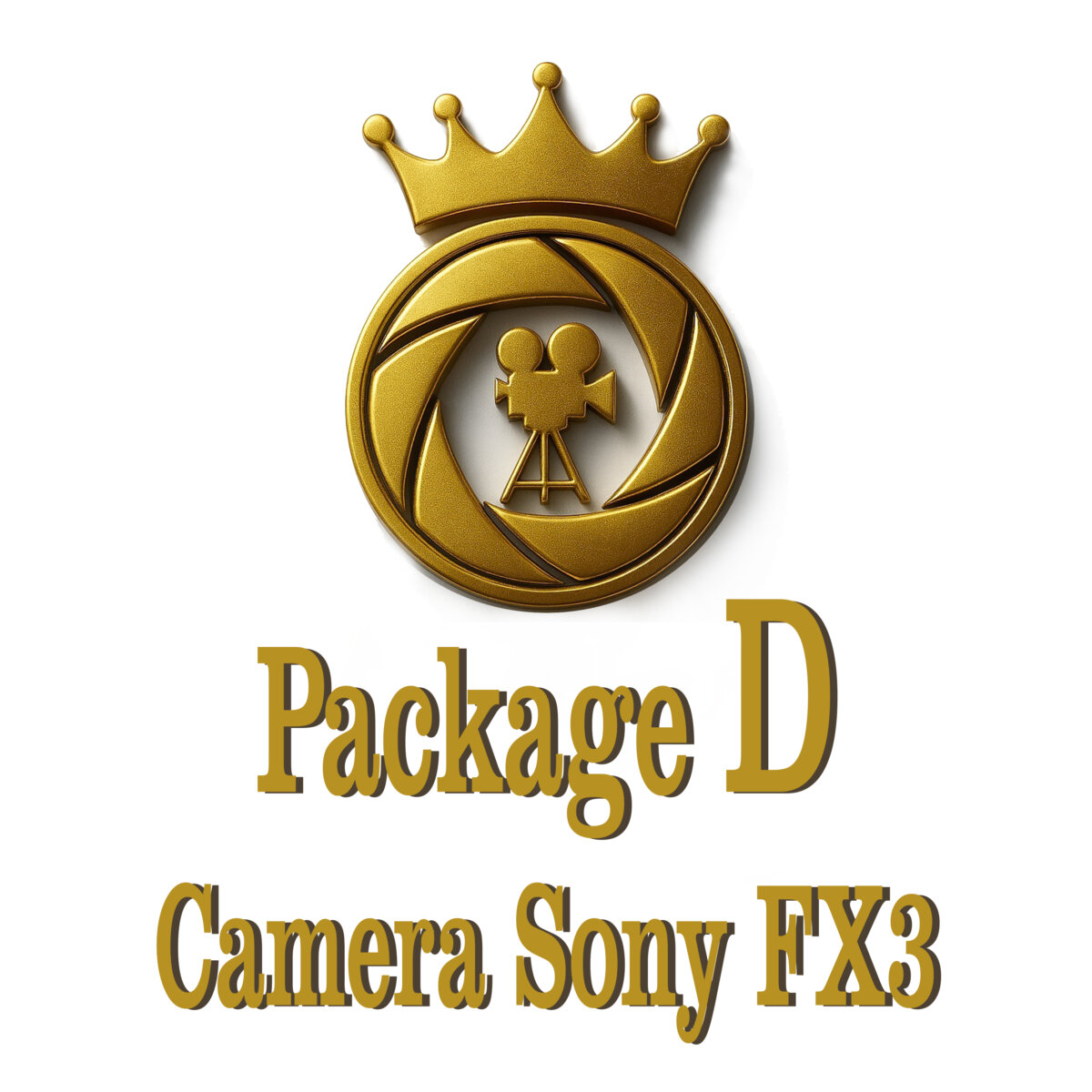 pack D اجاره پکیج ویژه فیلمسازان – Package D دوربین Sony FX3 - تصویر 1